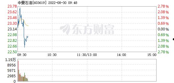 中曼(中曼石油官网)