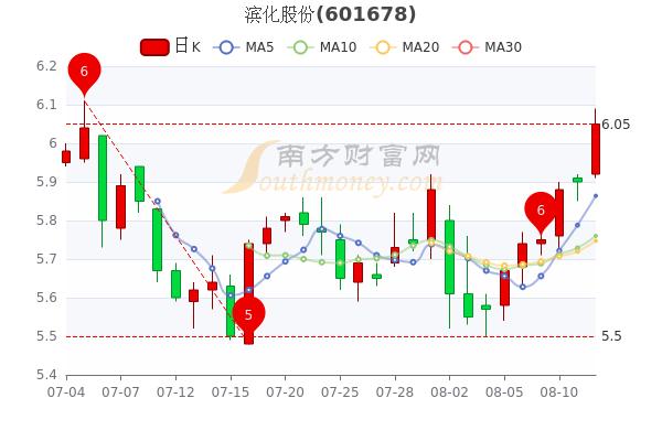 滨化股份(滨化股份十大股东)