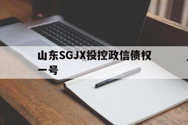 山东SGJX投控政信债权一号(山东公共资源交易综合评标评审专家库)