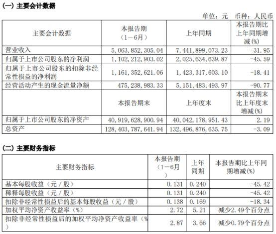 新湖中宝股份有限公司(新湖中宝股份有限公司注册地)