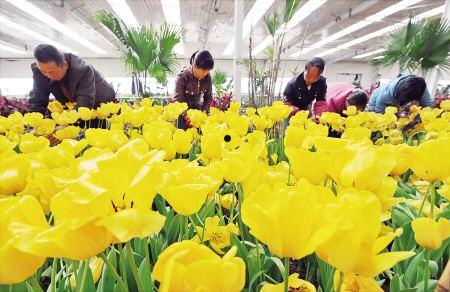 3月17日(3月17日是什么星座男生)