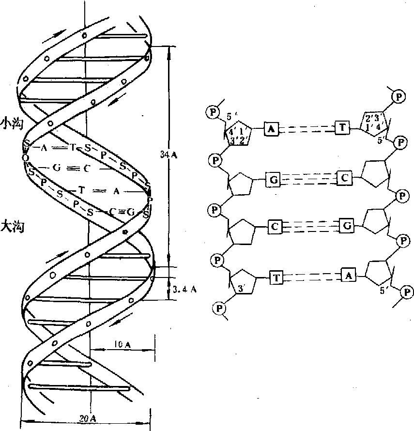 dcmp(点苍门派技能指点)