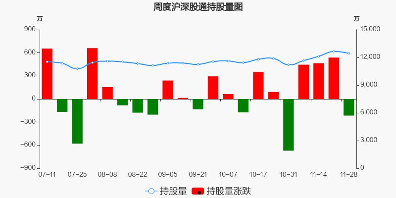 深股通(深股通持仓查询)