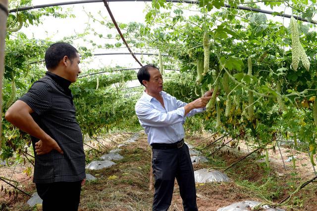 成都金堂县现代农业投资信用资产存证(成都市金堂县农商银行)