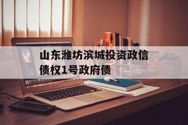 山东邹城利民建设债权收益权2号定融(债权通资产收益权置换专享服务)