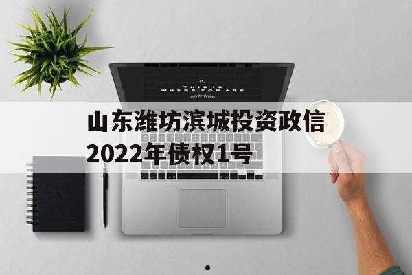 潍坊滨城投资政信债权1号(潍坊滨海国有资本投资运营集团有限公司 债)