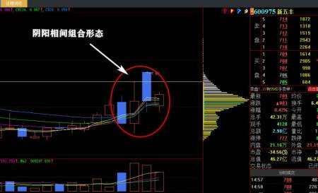 新五丰股吧(新五丰2022目标价)