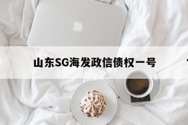 山东SG海发政信债权一号(050008博时第三产业)