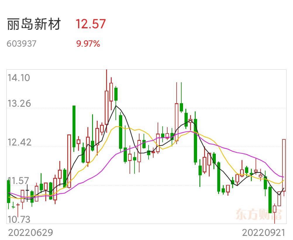 丽岛新材(丽岛新材料有限公司)