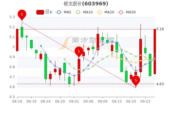 银龙股份(银龙股份是做什么的)