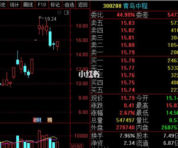 青岛中程(青岛中程进入退市整理期)