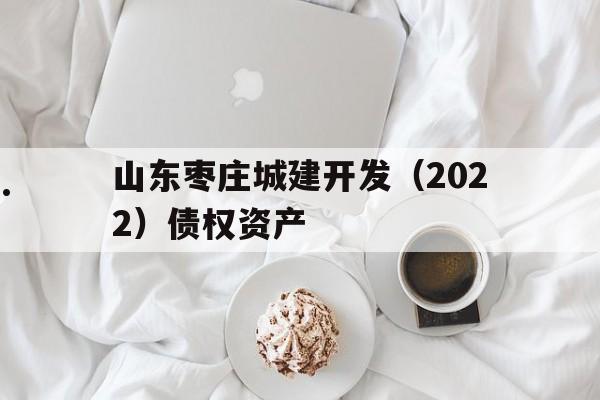 山东枣庄城建开发（2022）债权资产(枣庄志成房地产)