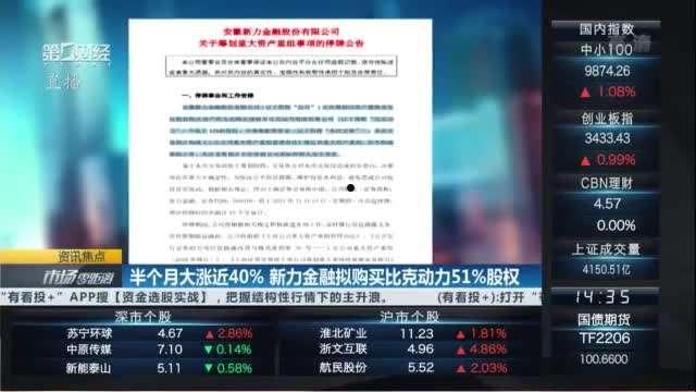 新力金融(新力金融张敬红是谁)