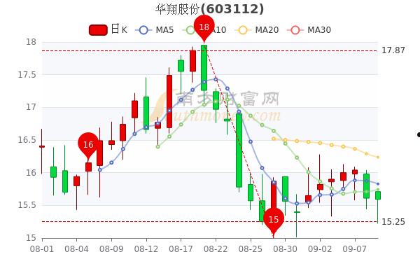 华翔股份(华翔股份股票股吧)