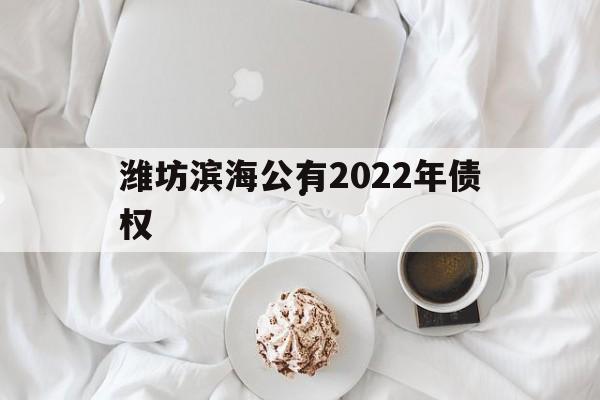 潍坊滨海公有2022年债权(潍坊滨海投资美元债)