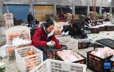 重庆奉节县三峡库区生态产业发展企业信用资产产品(奉节县特色农业产业发展有限公司)