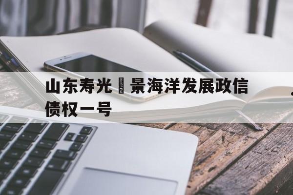 山东寿光昇景海洋发展政信债权一号(山东寿光大宗商品交易所)