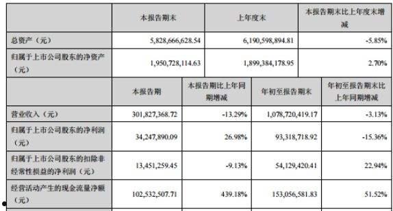 深赛格(深赛格最新内部消息)