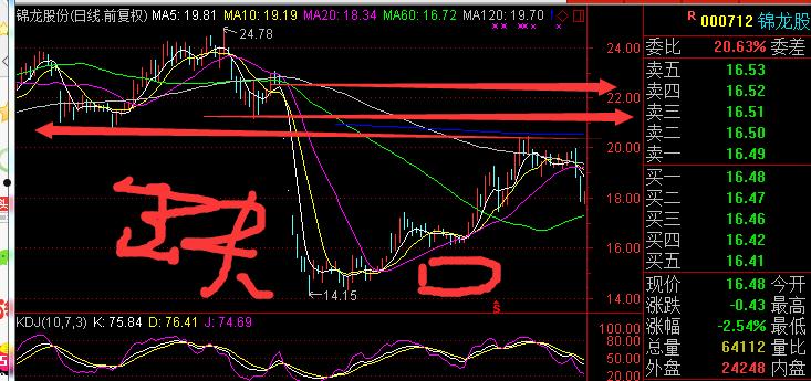 锦龙股份股票(锦龙股份股票最新)