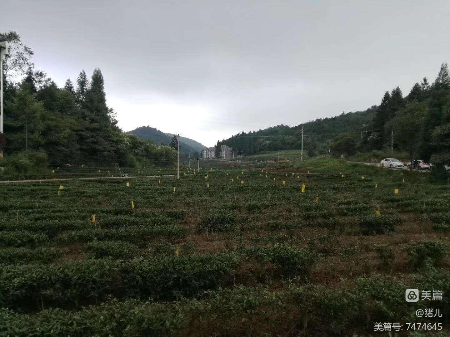 包含重庆武隆区白马山债权资产计划1号的词条