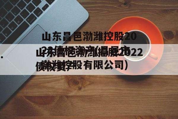 2022山东WF市主城区债权计划的简单介绍