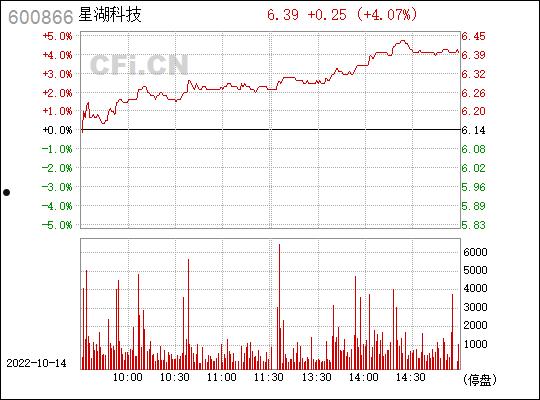 600866股票(600866股票行情)
