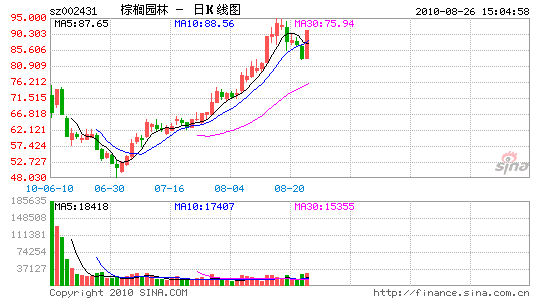 002431棕榈园林(棕榈园林股吧)