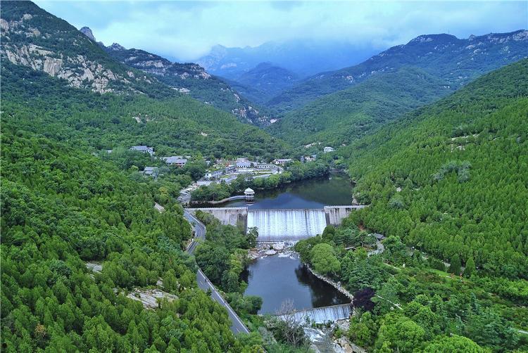 新能泰山(新能泰山属于什么板块)