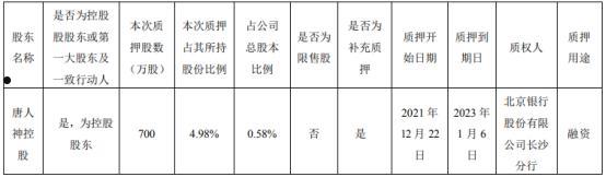 唐人神002567(唐人神集团公司简介)