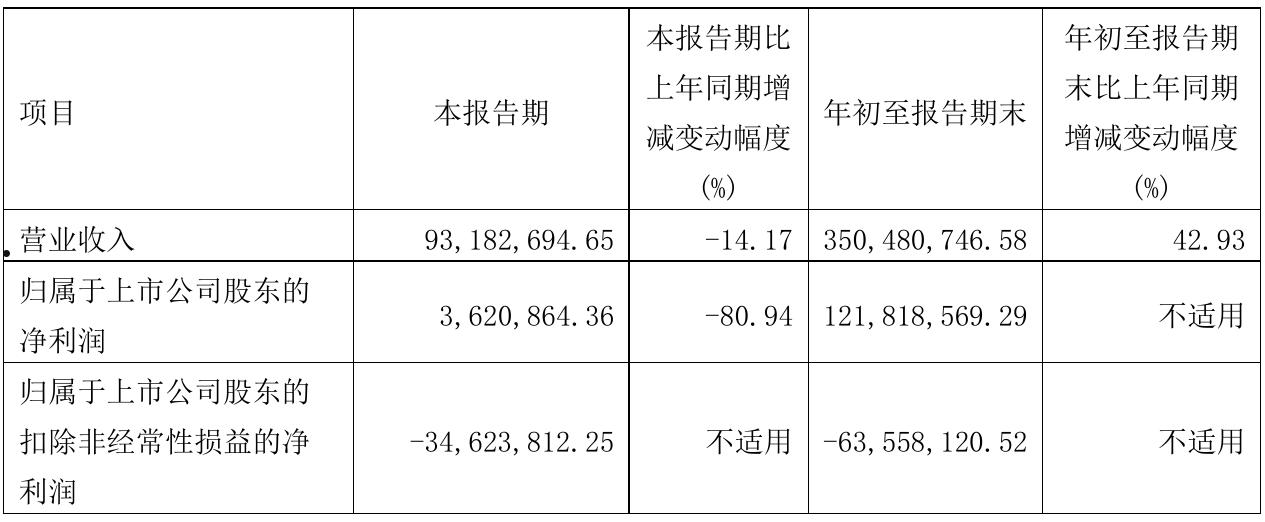 600889南京化纤(南京化纤有限公司)