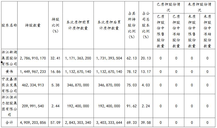 新湖中宝股份有限公司(新湖中宝股份有限公司董事长)