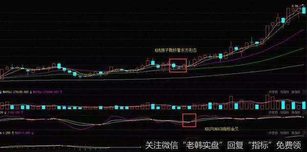 300113(300113顺网科技千股千评)