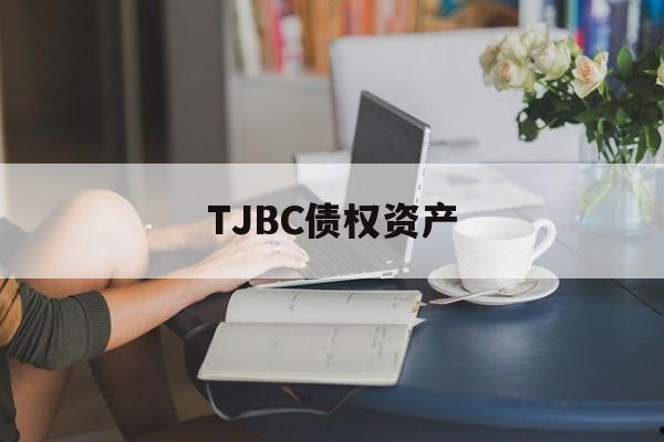 TJBC债权资产(标准化债权资产)