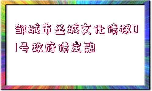 2022德州齐河城投6号合同存证定融项目(2022购车补贴政策最新规定)