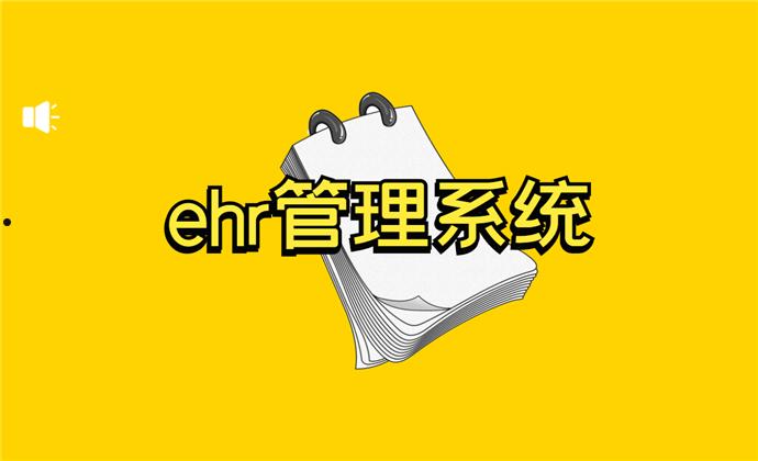 ehr(ehr人力资源管理软件)