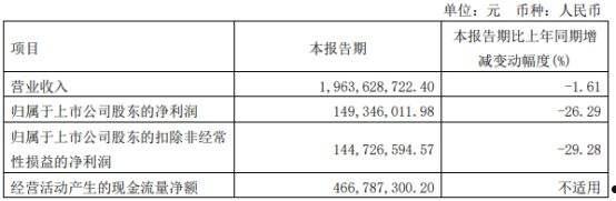 怡球资源(怡球资源牛叉诊股)