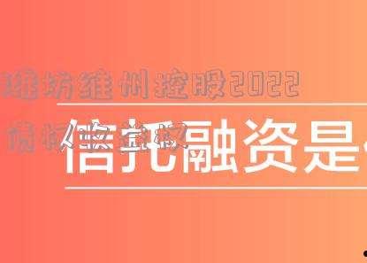 2022潍坊市主城区债权计划(潍坊市棚户区2020改造)