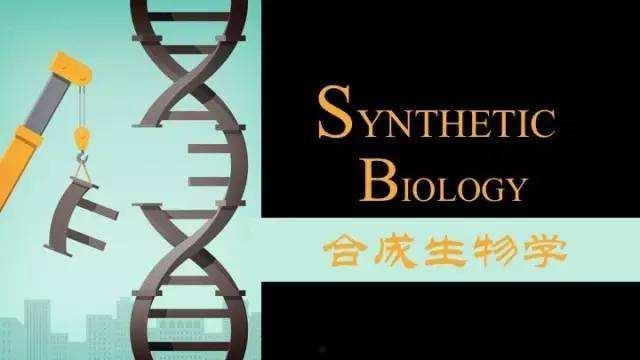 合成生物学(合成生物学名词解释)