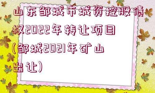 2022淄博公有债权计划(淄博城市建设债权系列项目)