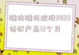 惠民16号-潍坊潍州投资控股债权收益权资产计划(债权投资怎么确认投资收益)