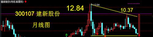 300107建新股份(建新股份最新消息)
