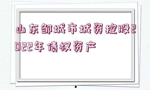 洛阳西苑国有资本投资2022年债权融资计划(洛阳市涧西区西苑城投公司)