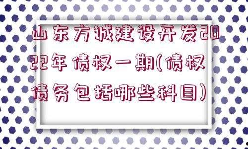 2022年金乡金源国有资本政信债权资产(国有资本的地位)