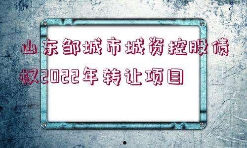 天津市辰悦建设投资债权2022年转让计划(天津市房信供热线上缴费)