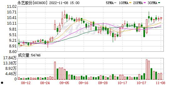永艺股份(永艺股份东方财富网)
