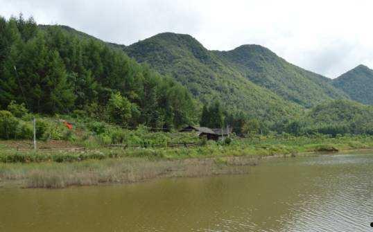 奉节县三峡生态发展债权转让项目(奉节县2021年重大项目建设)