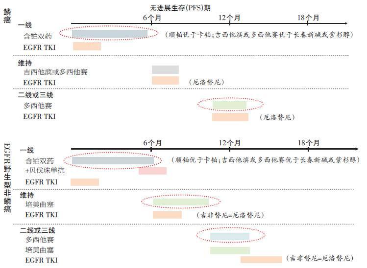 益肺清化颗粒(清肺散颗粒的功效)