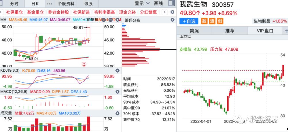 高澜股份(高澜股份最新行情)