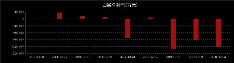 景洪国投2022年债权(景洪市国投公司总经理)