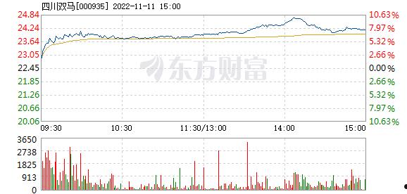 四川双马(四川双马历史股价)